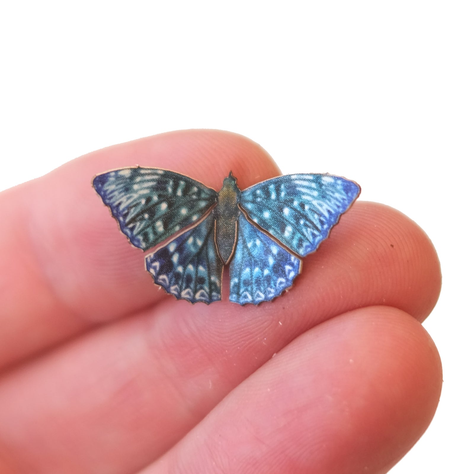 'Micro Himalayan Constable' Butterfly