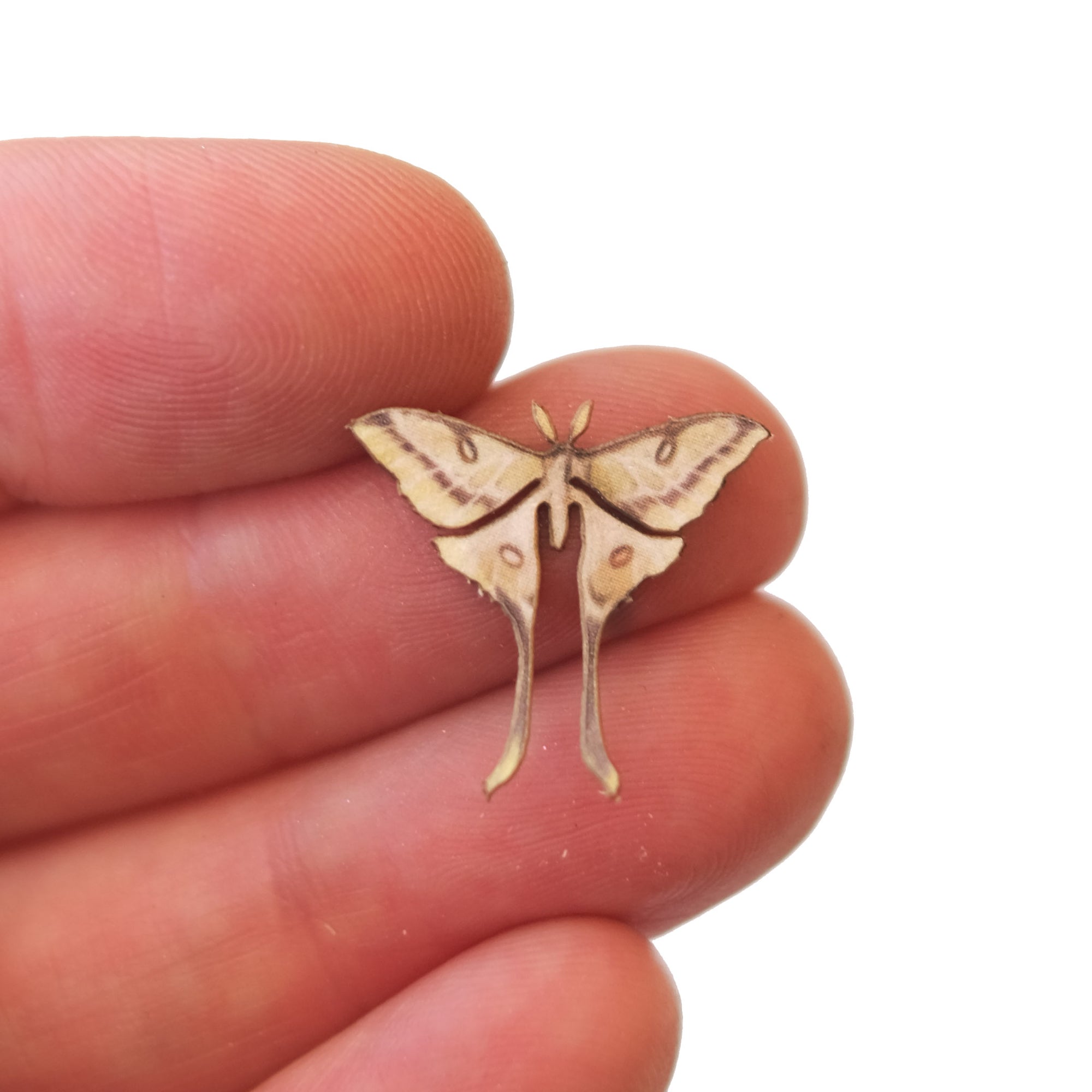 'Micro Antique Rare Moon' Moth