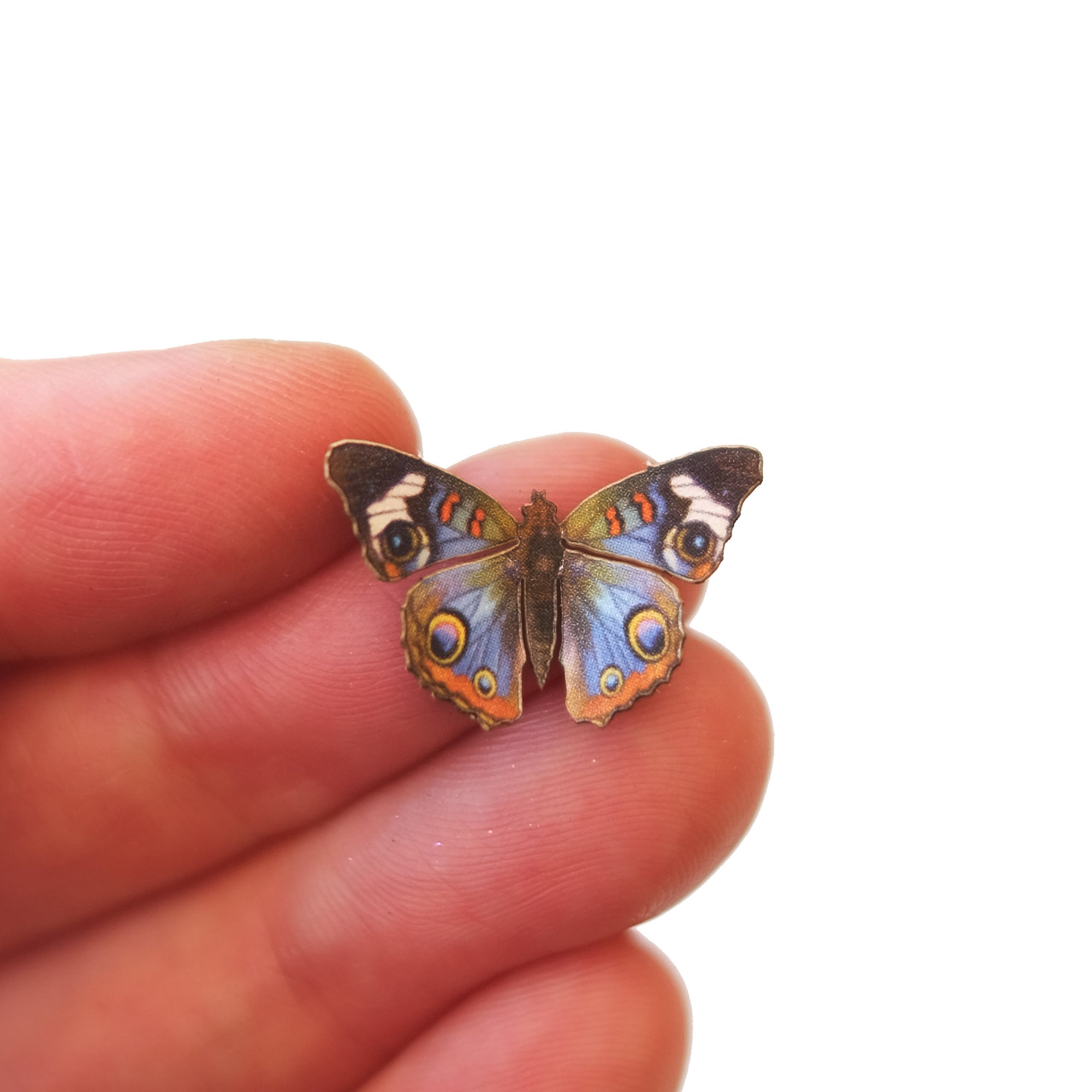 'Micro Blue Buckeye' Butterfly
