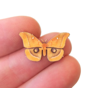 'Micro Polyphemus' Moth