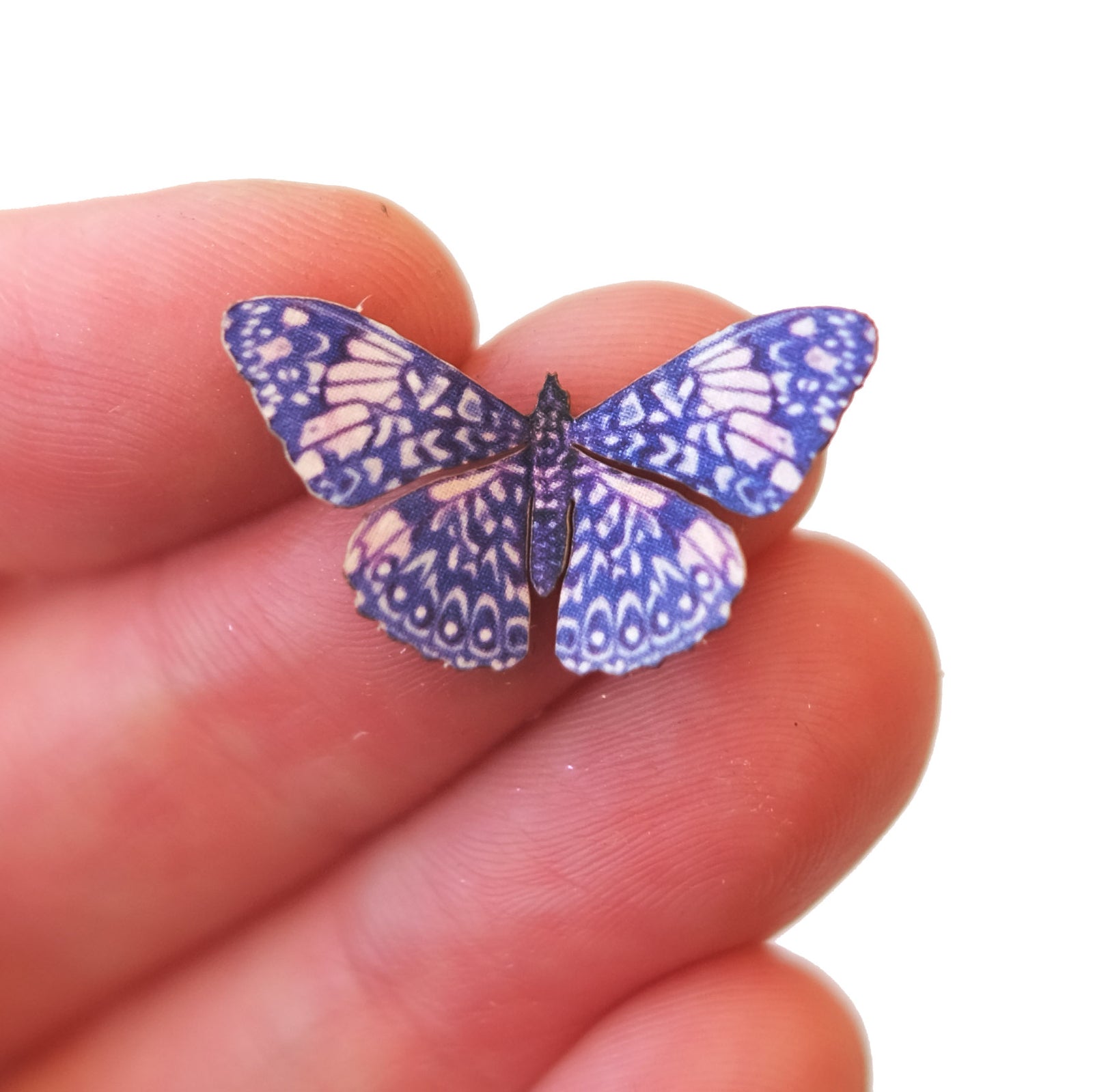 'Micro Red Cracker' Butterfly