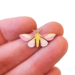 'Micro Rosy Maple' Moth