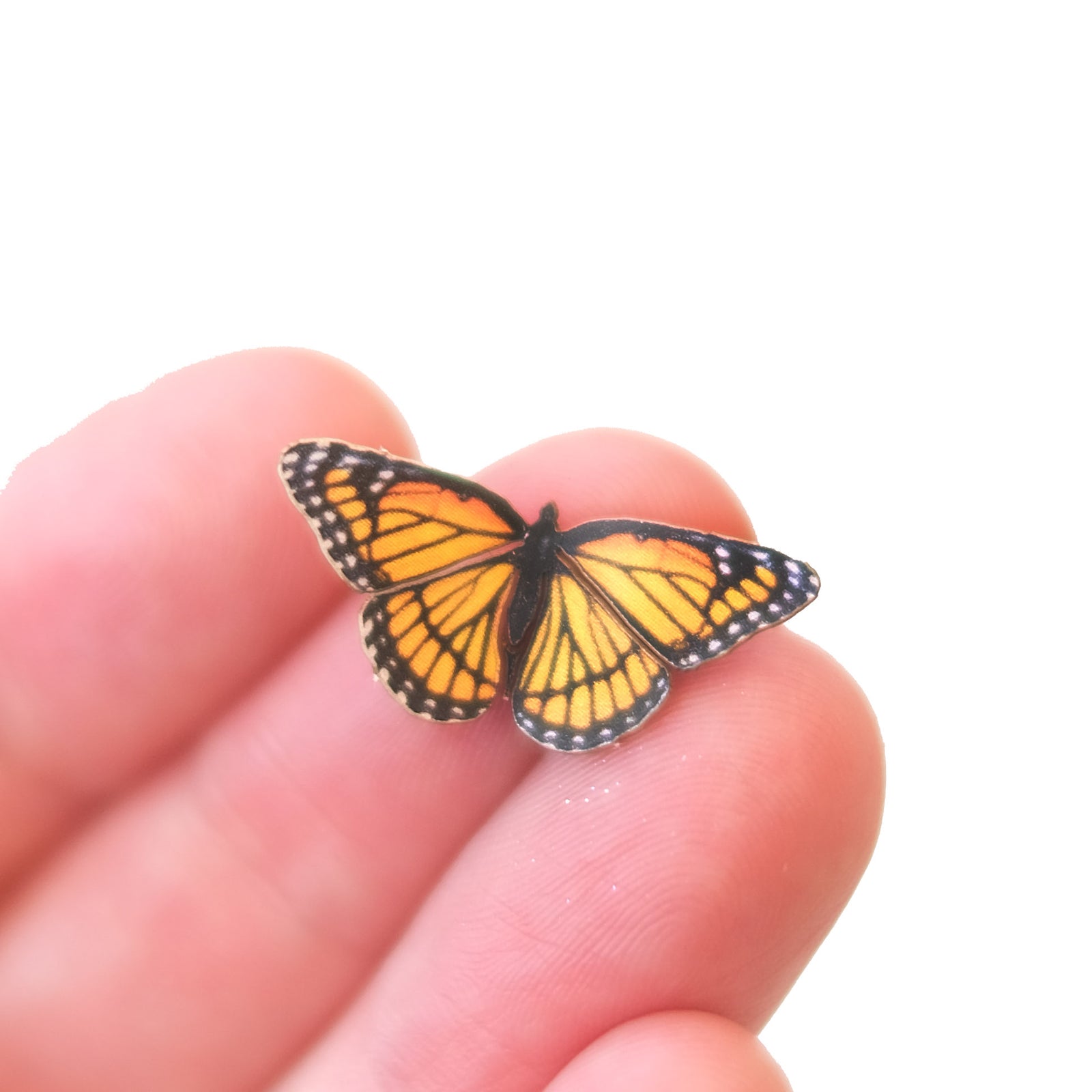 'Micro Viceroy' Butterfly