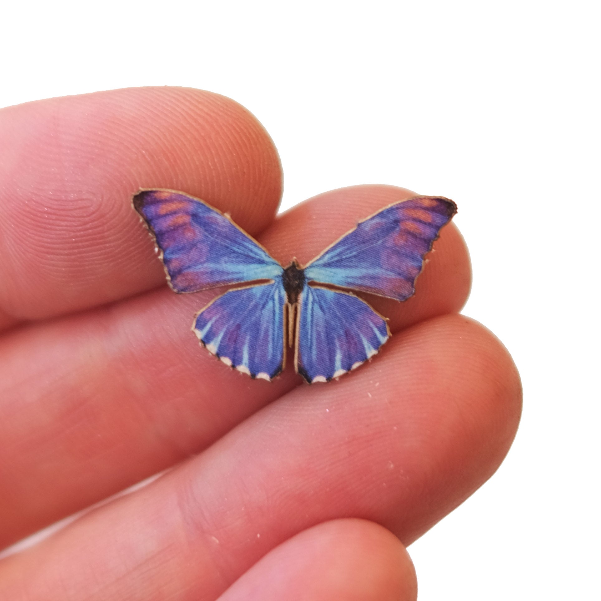 'Micro Aurora Morpho' Butterfly