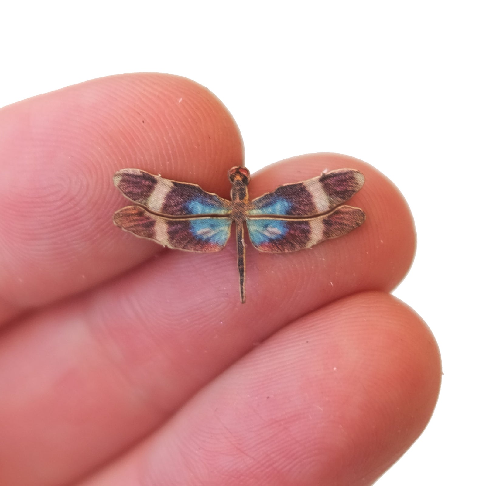 'Micro Blue' Dragonfly