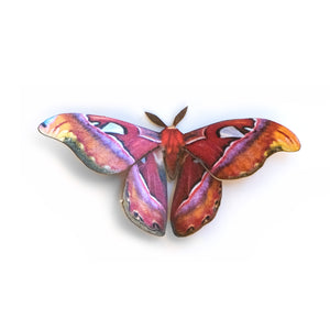 'Mini Alt-Color Atlas' Moth
