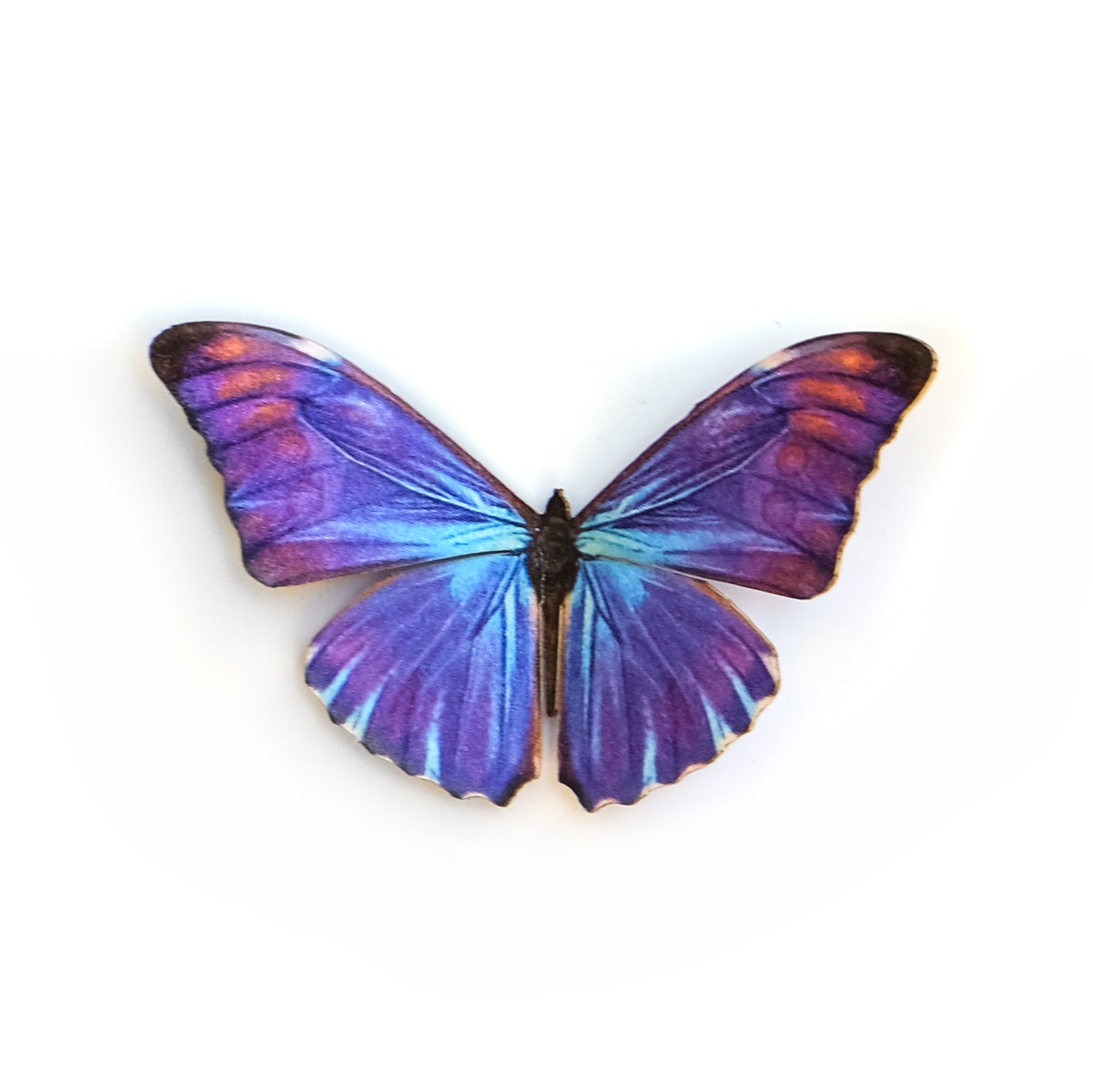 'Mini Aurora Morpho' Butterfly