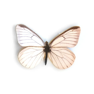 'Mini Black-Veined White' Butterfly