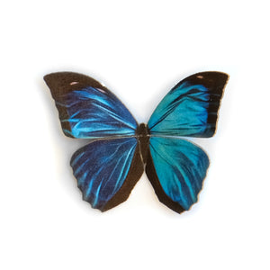 'Mini Blue Morpho' Butterfly