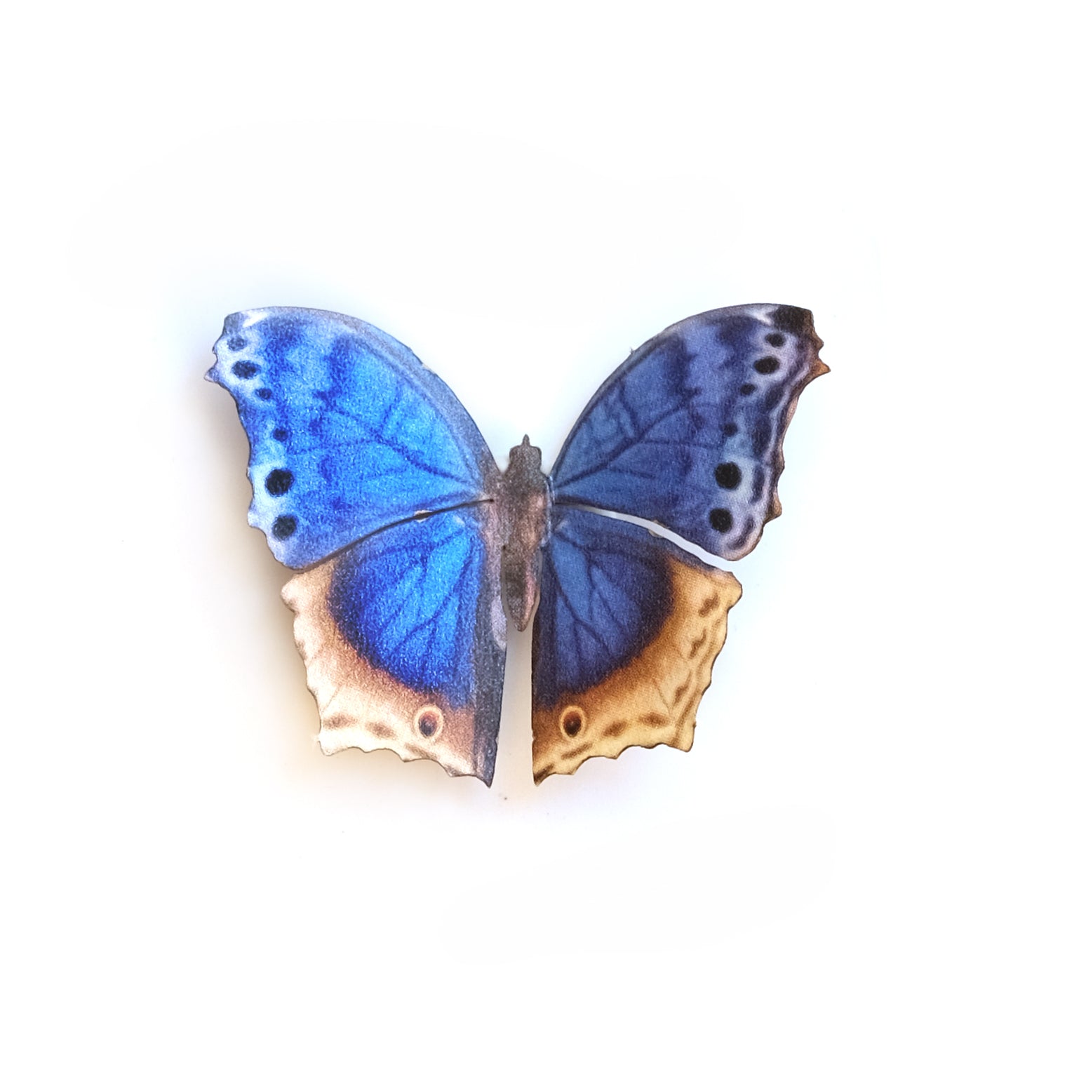 'Mini Blue Mother-of-Pearl' Butterfly
