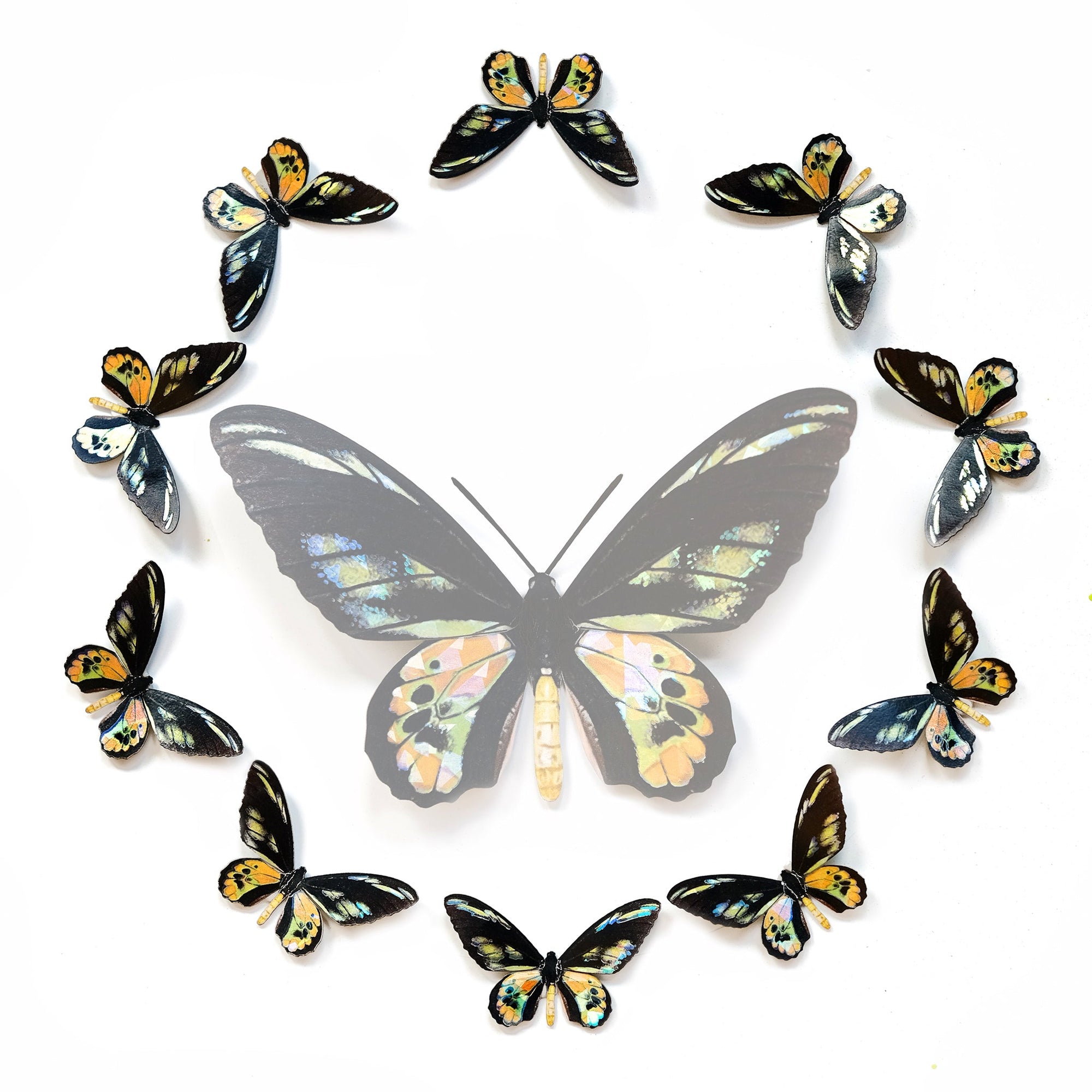 'Rothschild' Mini Butterfly Set Artist Wholesale