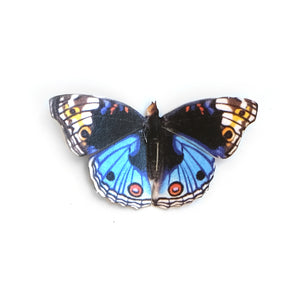 'Mini Celestial Blue Pansy' Butterfly