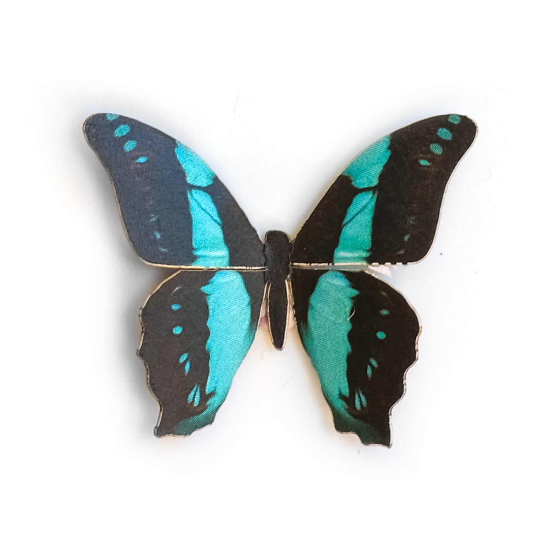 'Mini Common Bluebottle' Butterfly