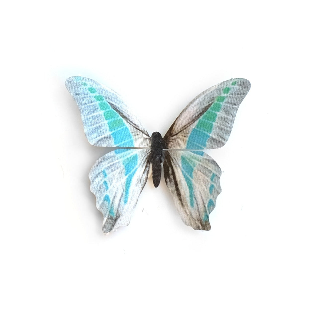 'Mini De-Scaled Common Bluebottle' Butterfly
