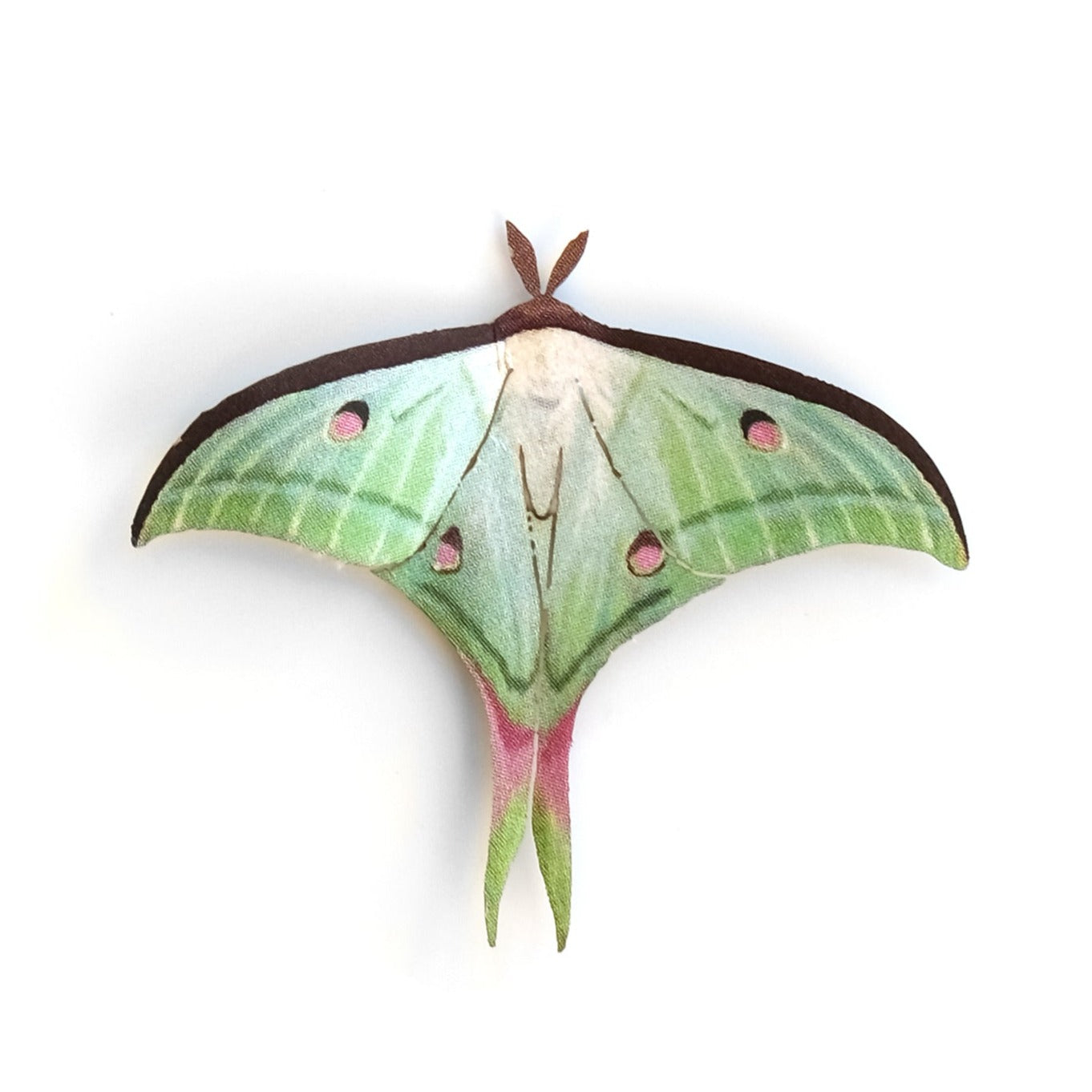 'Mini Indian Moon' Moth