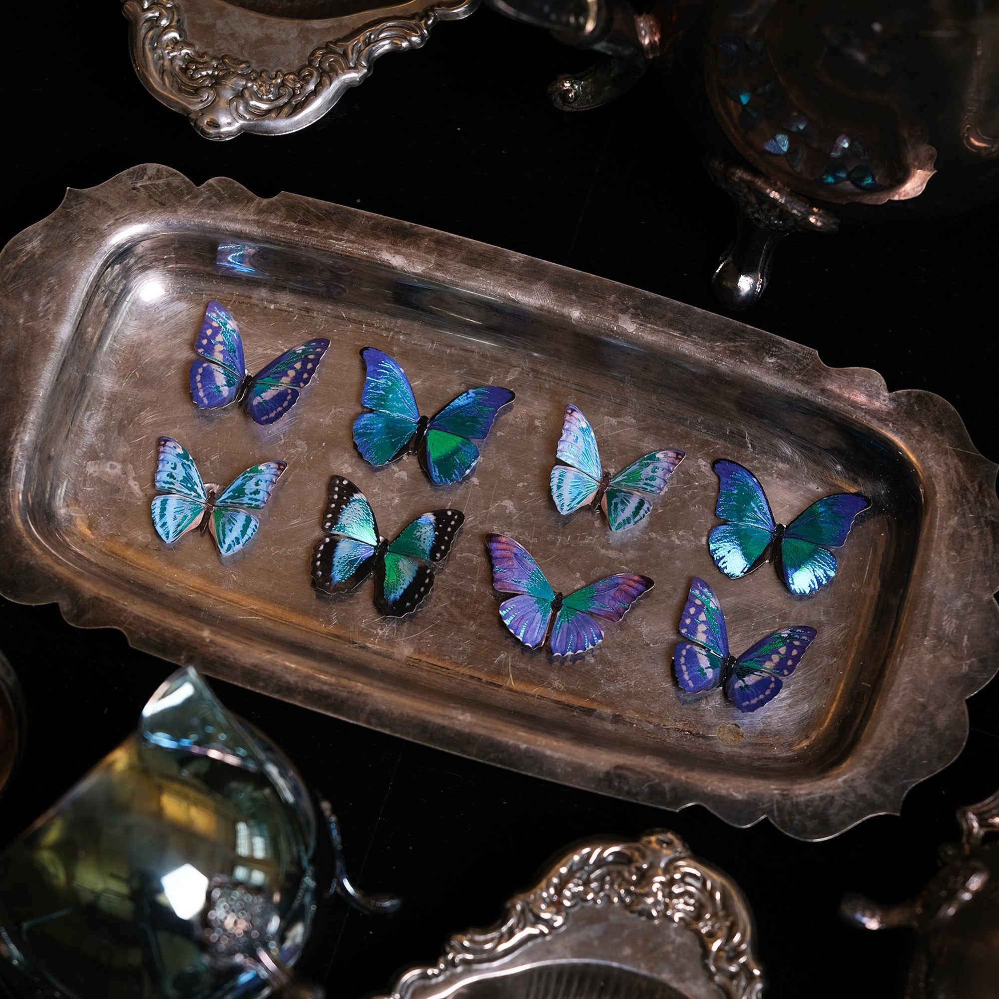 'Cobalt' Mini Moprho Butterfly Set Artist Wholesale