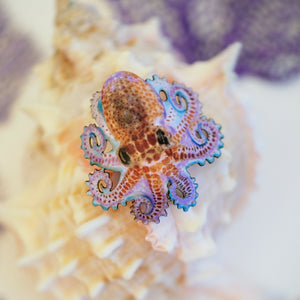 'Kraken' Octopus Set Artist Wholesale