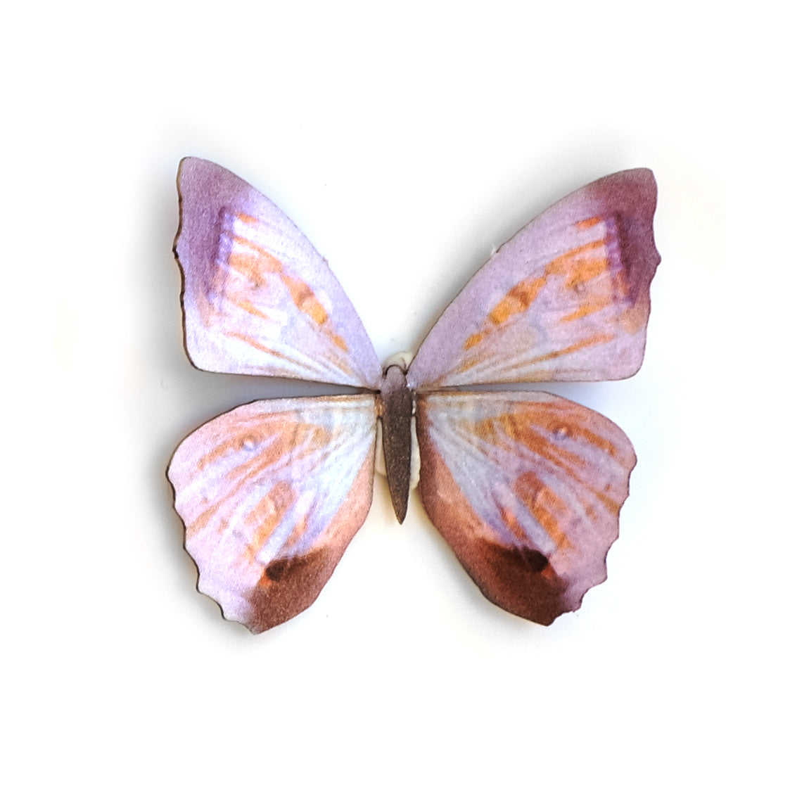'Mini Pearl Morpho' Butterfly