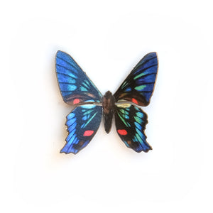 'Mini Periander Metalmark' Butterfly