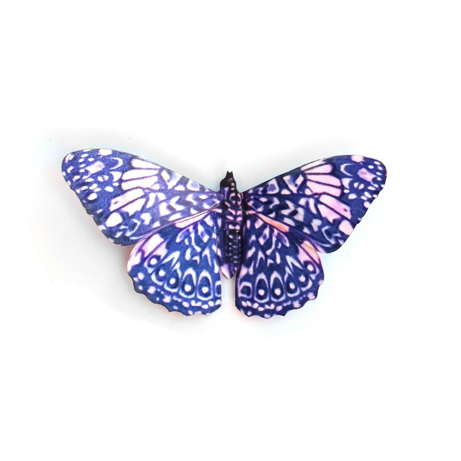 'Mini Red Cracker' Butterfly