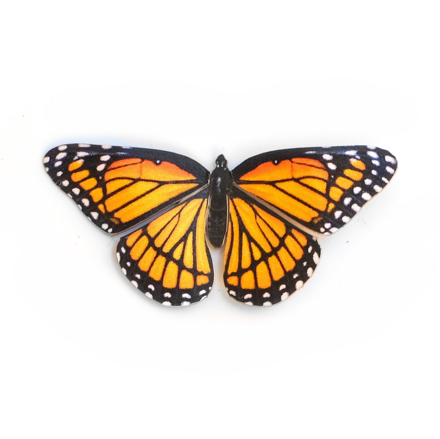 'Mini Viceroy' Butterfly