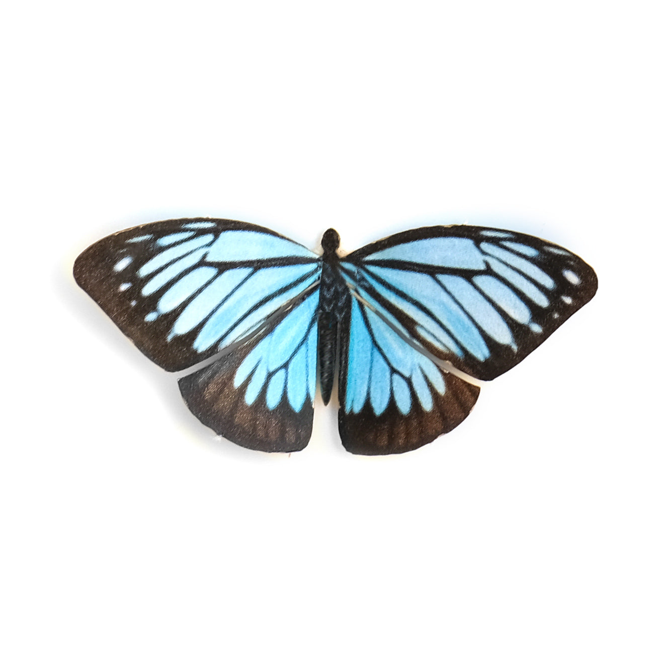 'Mini Wanderer' Butterfly