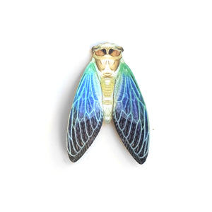 'Mini Wings Down' Cicada