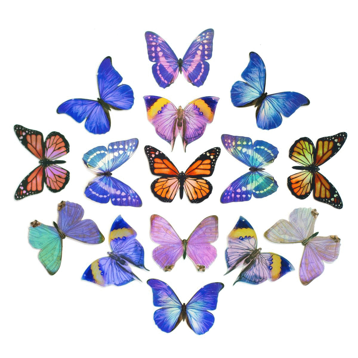 💫Back in Stock💫’Morpho & Monarch' Mini Butterfly Holographic Sticker Set