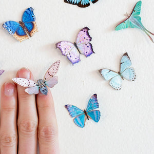 'Mini Mint Morpho' Butterfly
