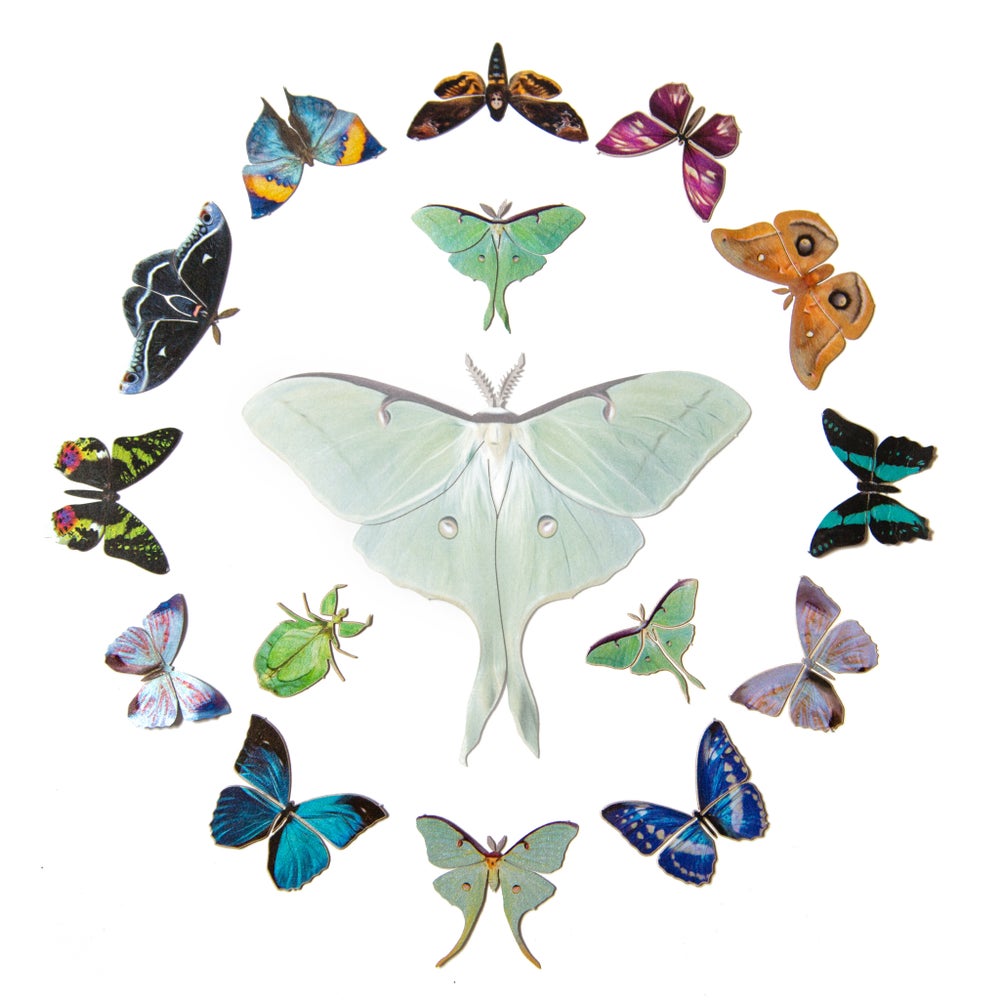 ⚡️New!⚡️ ‘Classic’ Mini Collection