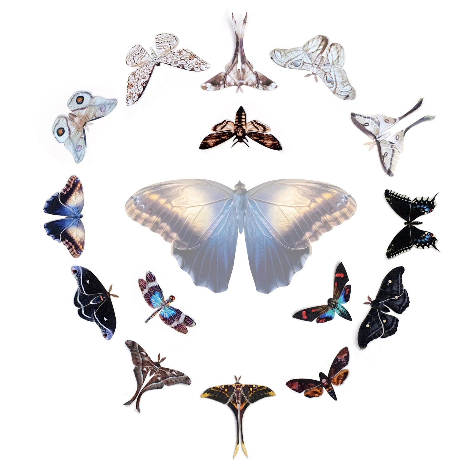 ⚡️New!⚡️ Halloween Mini Collection