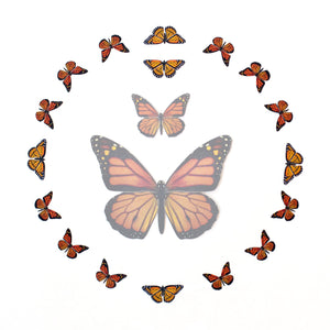 'Marmalade' Micro Monarch Butterfly Collection Artist Wholesale