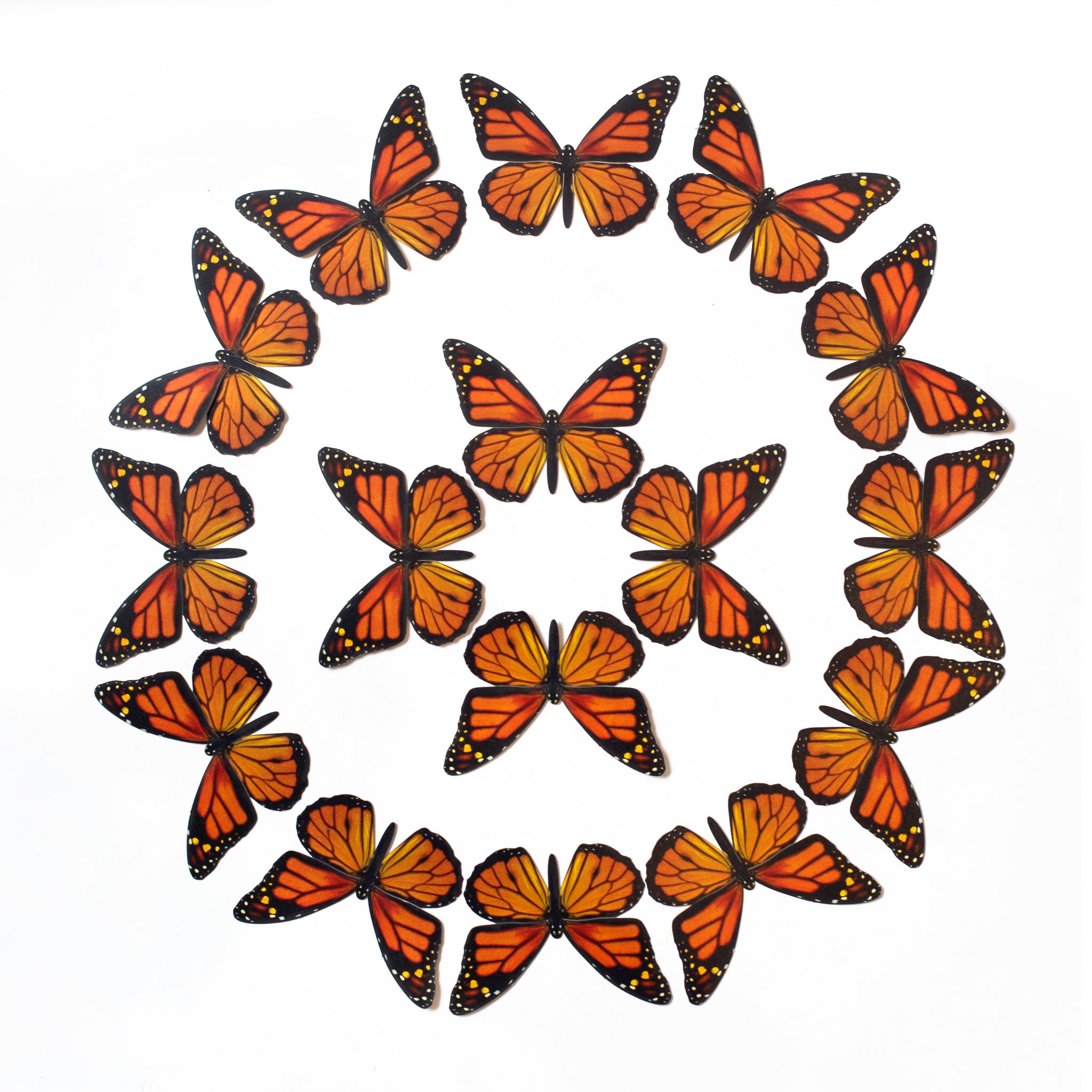 Monarch Pattern Monarch Butterfly Pattern