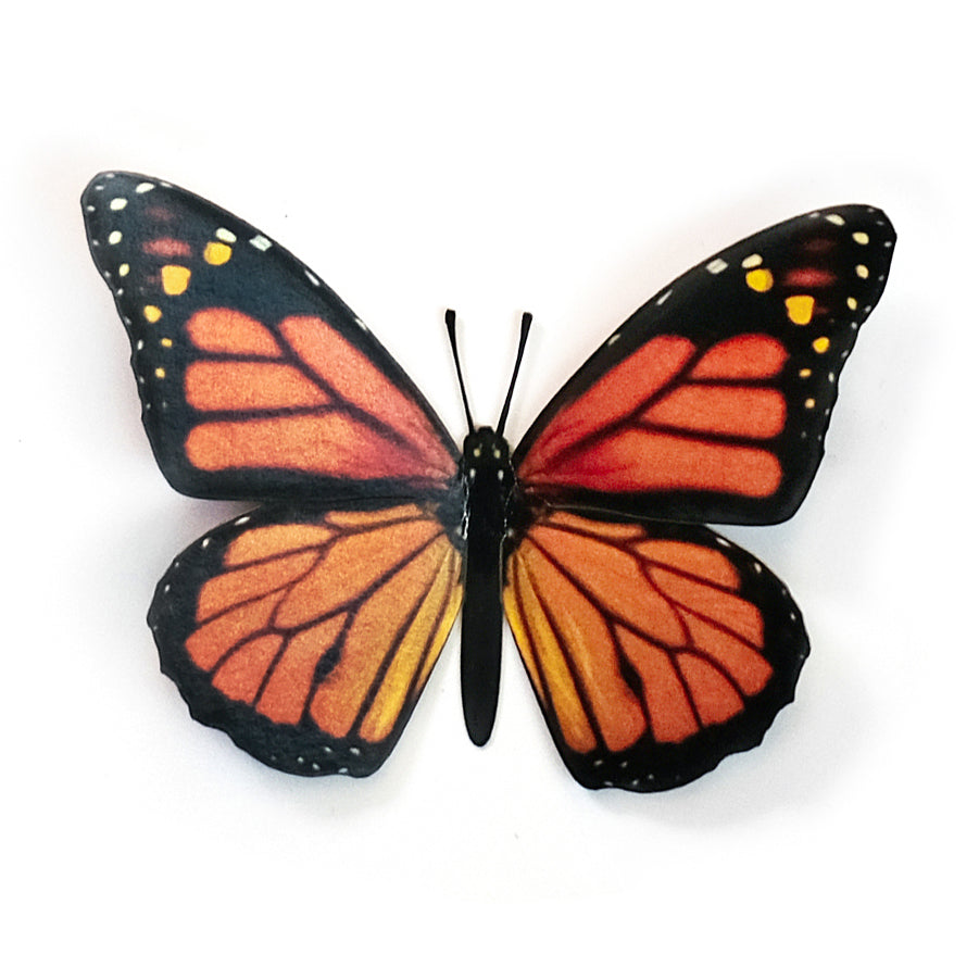 'Monarch (Wings Up)' Butterfly