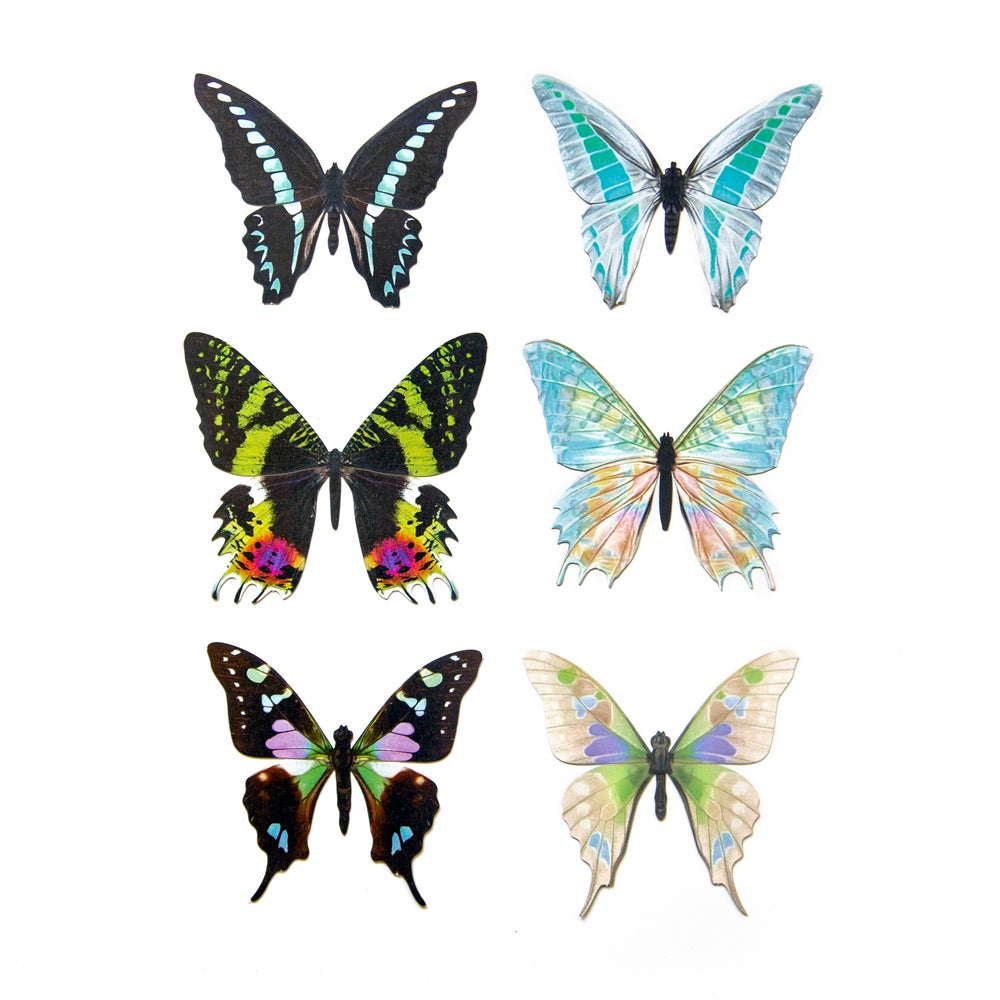 ”Moon Glimmer” Butterfly Set