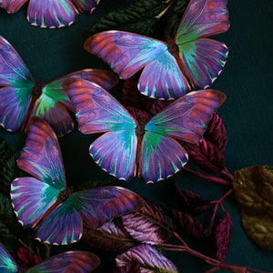 'Aurora' Morpho Butterfly Set Artist Wholesale