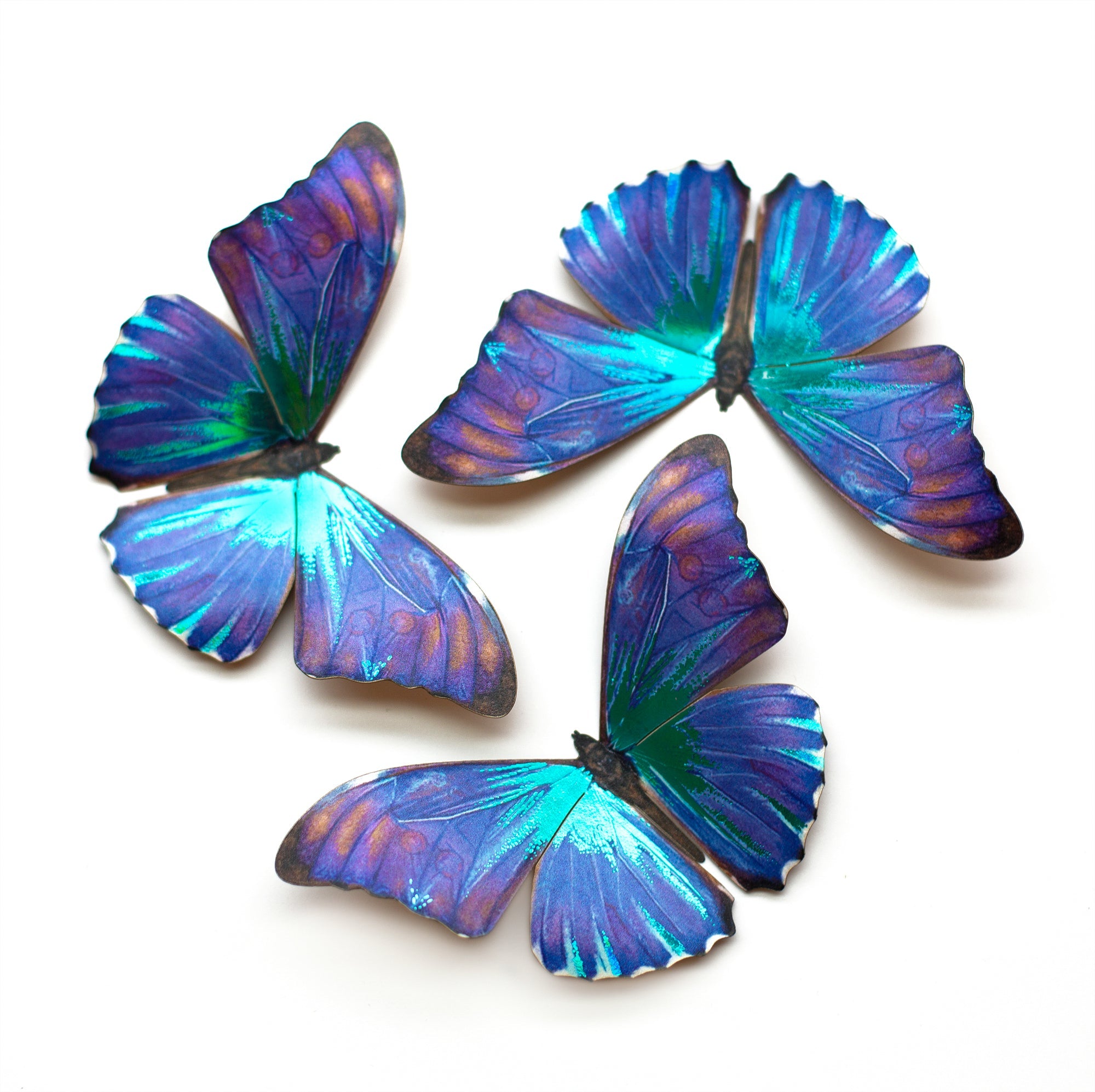 'Aurora' Morpho Butterfly Set Artist Wholesale