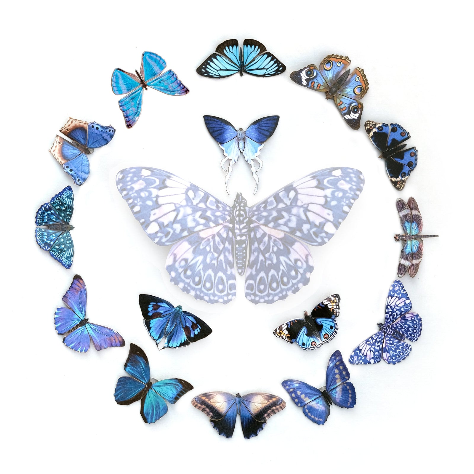 ⚡️New!⚡️ 'Nebula' Mini Collection