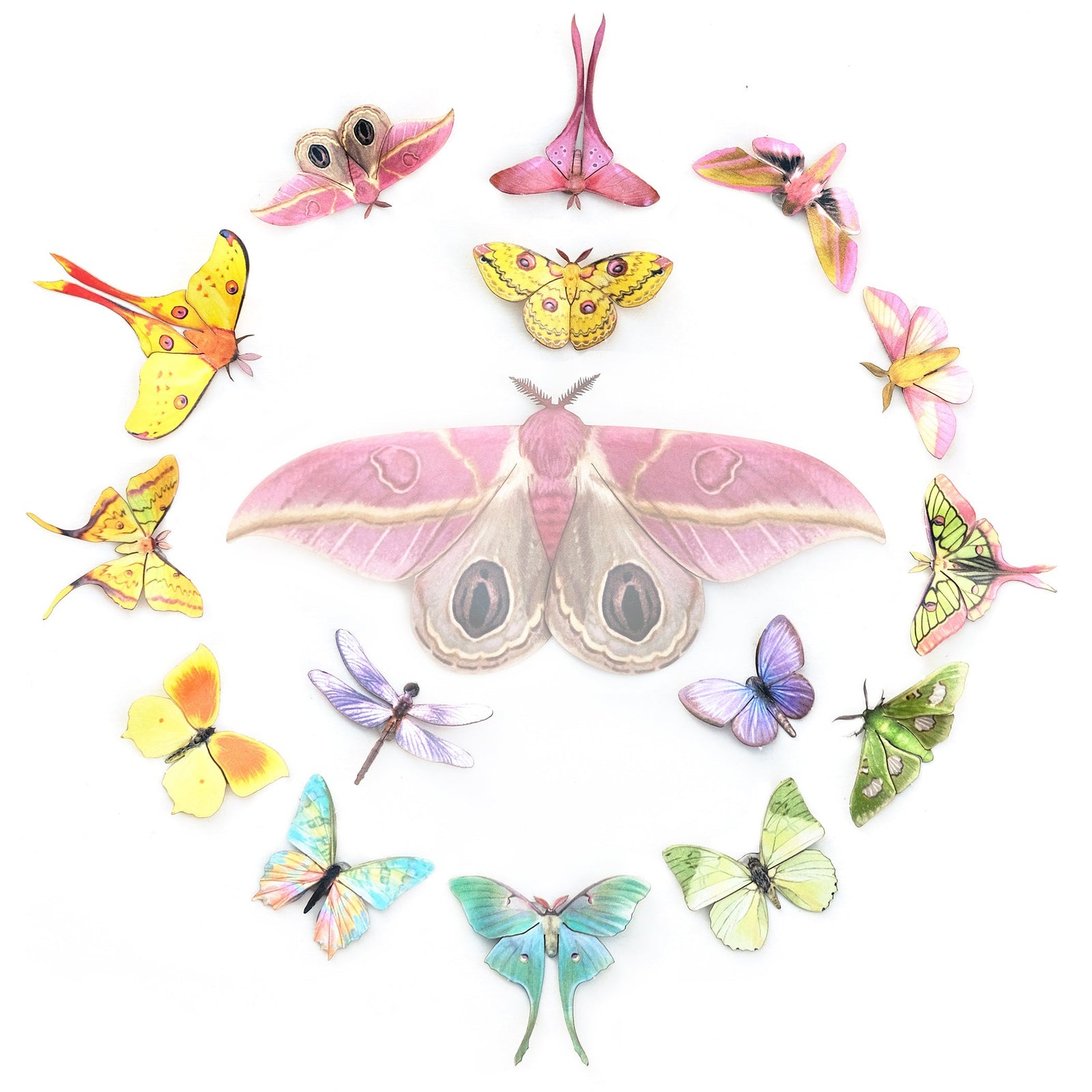 ⚡️New!⚡️ 'Paradise' Mini Collection