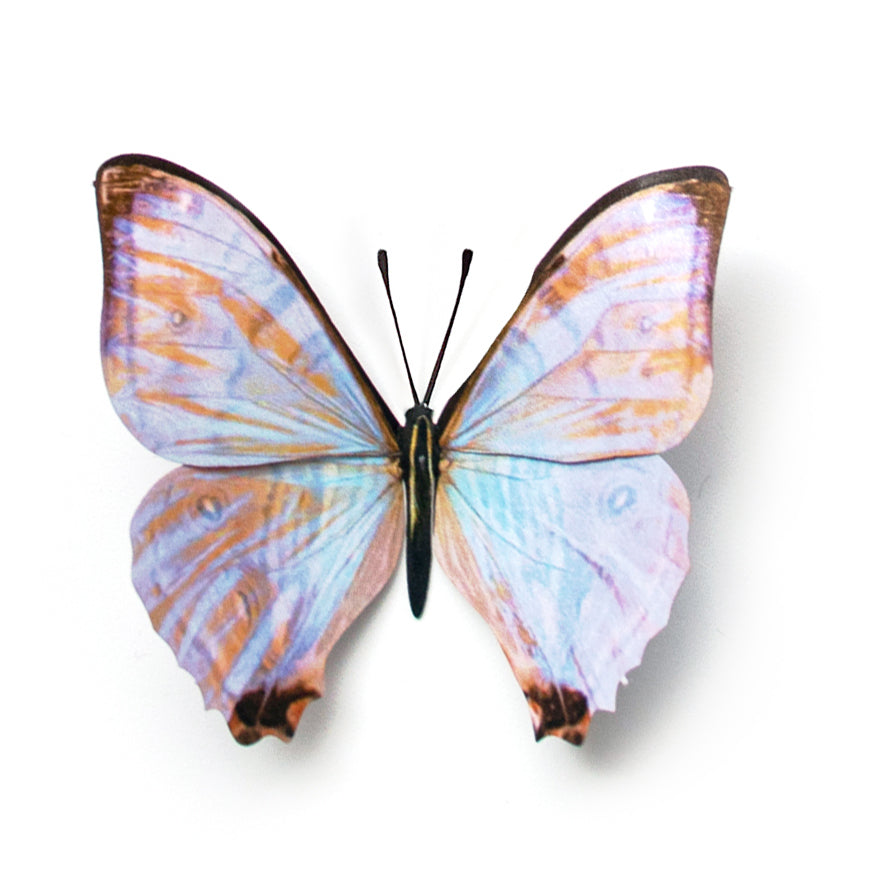 Custom Collections - Moth & Myth