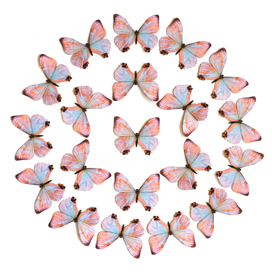 Pearl Morpho Butterfly Multi-Pack