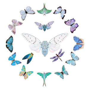 ’Pearl' Mini Moth Set