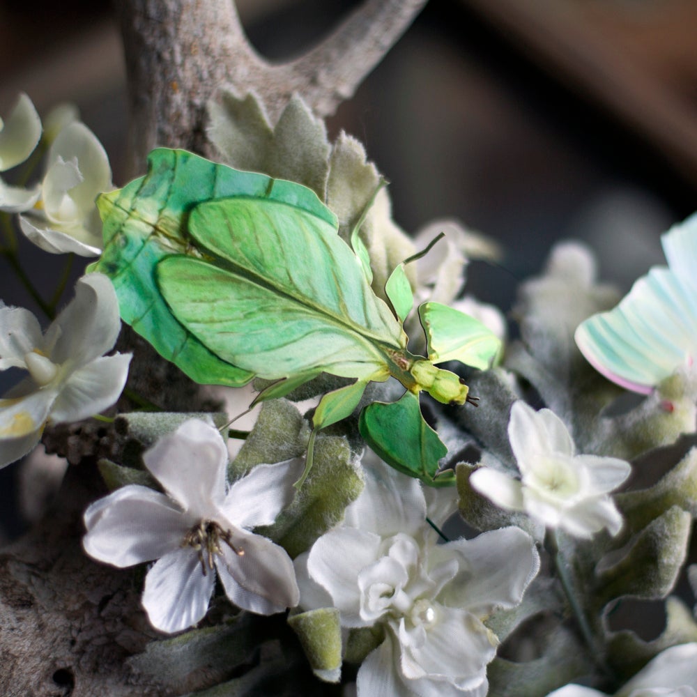 ‘Leaf’ Besanti Moth and Leaf Insect Set - Artist Discount