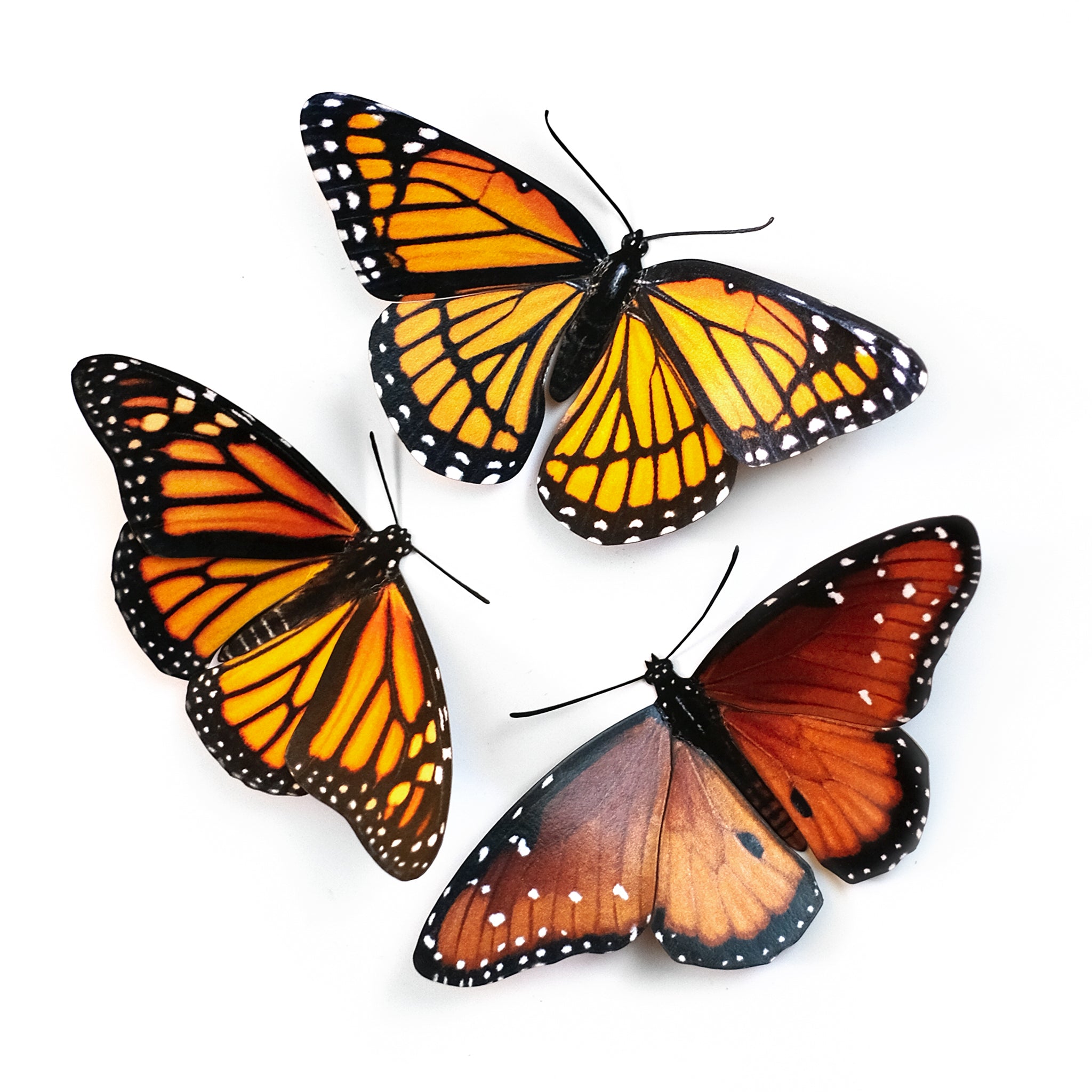 Paper Viceroy Butterfly