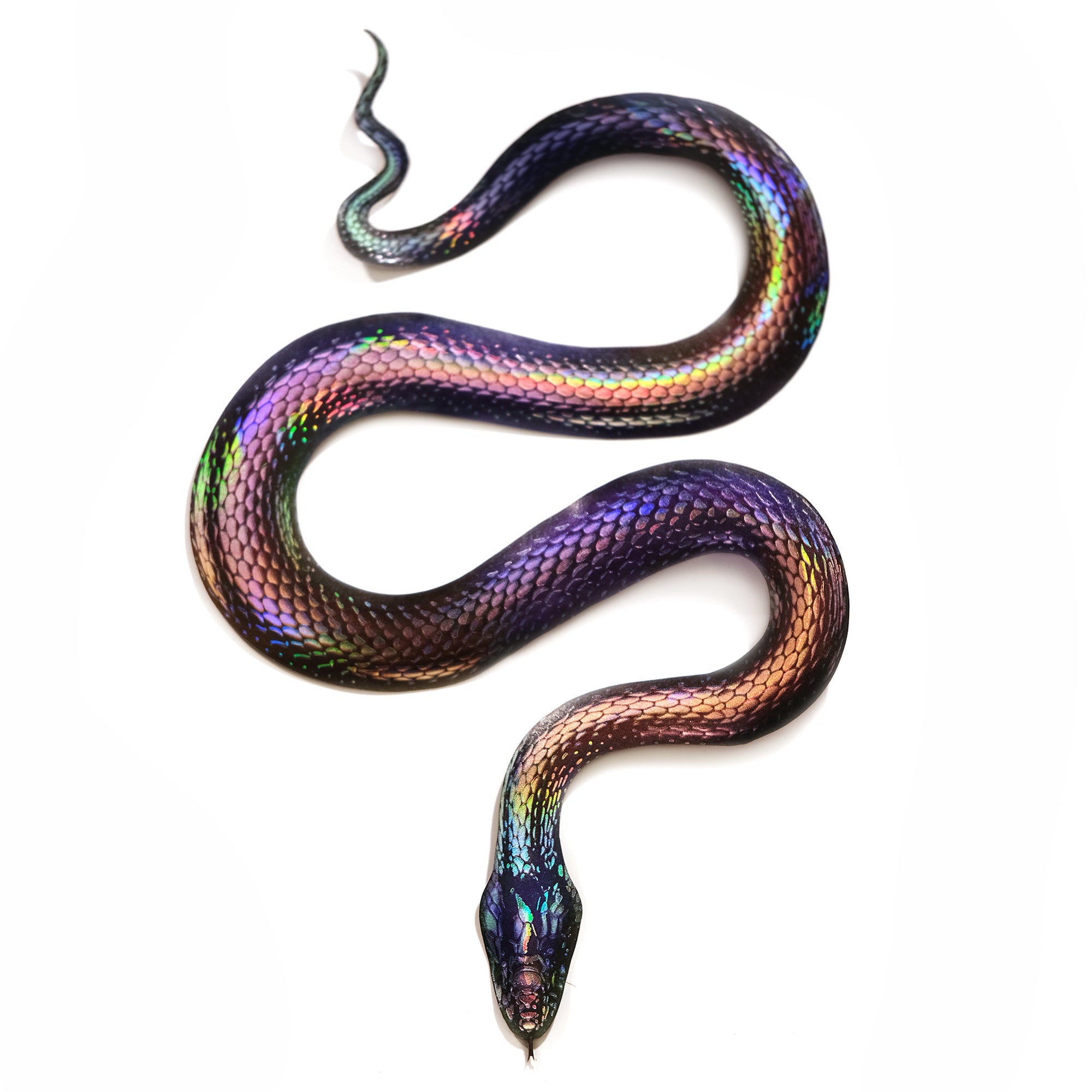 💫Back in Stock💫'Prism' Snake Set
