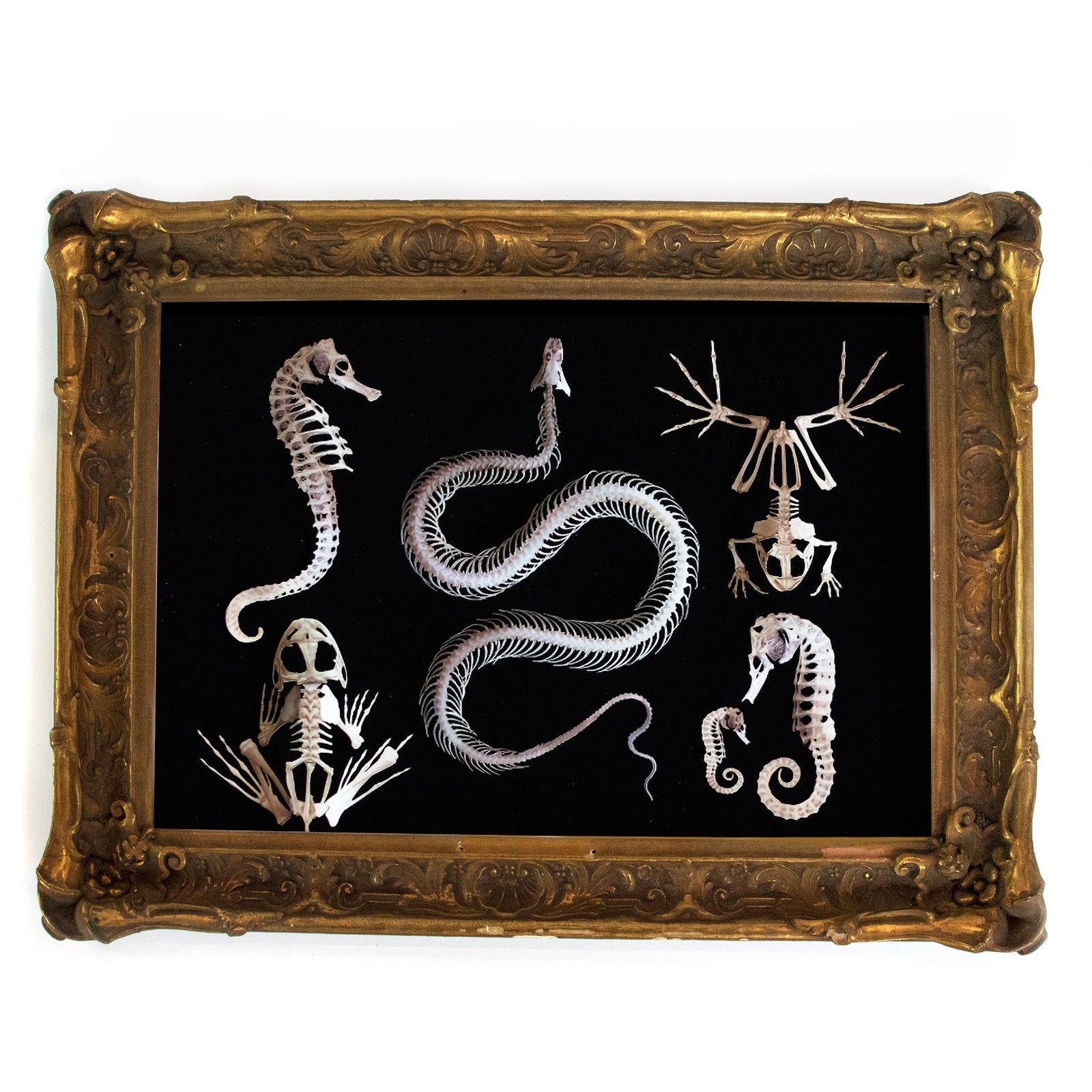 'Relics' Complete Collection