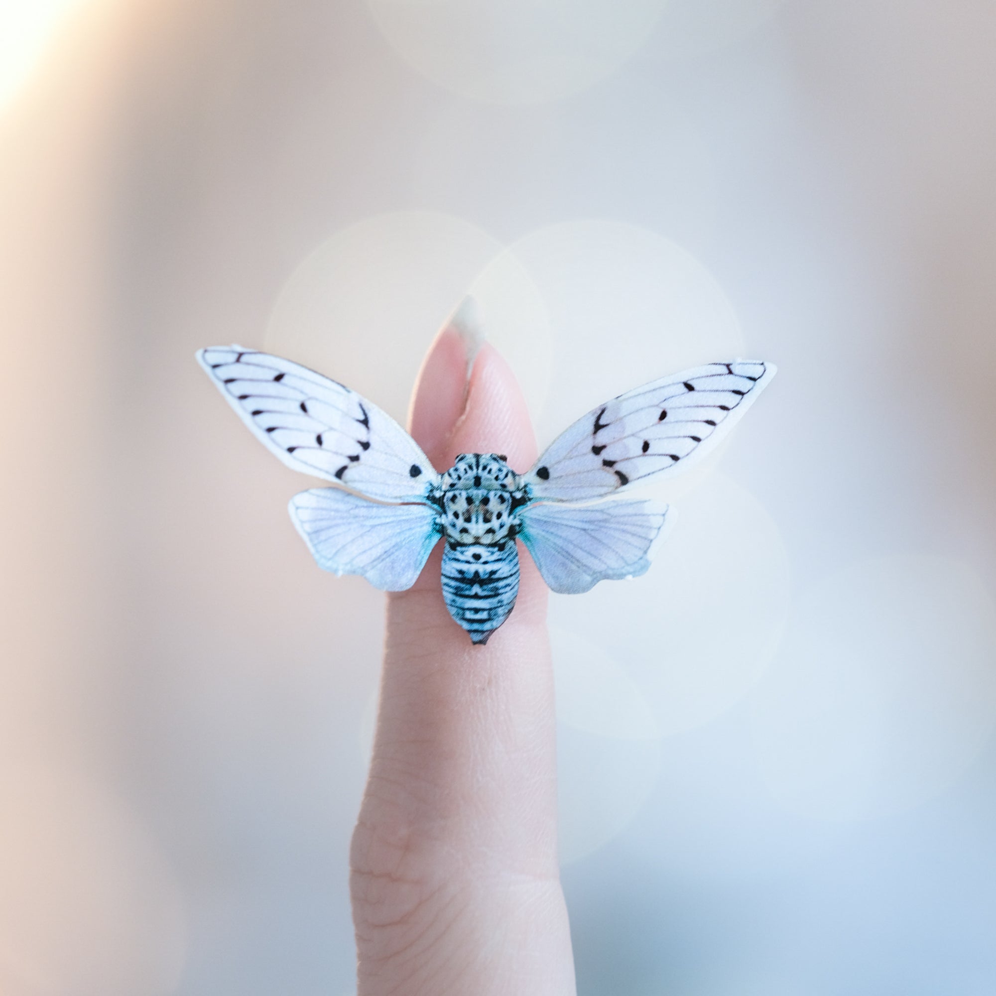 ’Pearl' Mini Moth Set Artist Wholesale