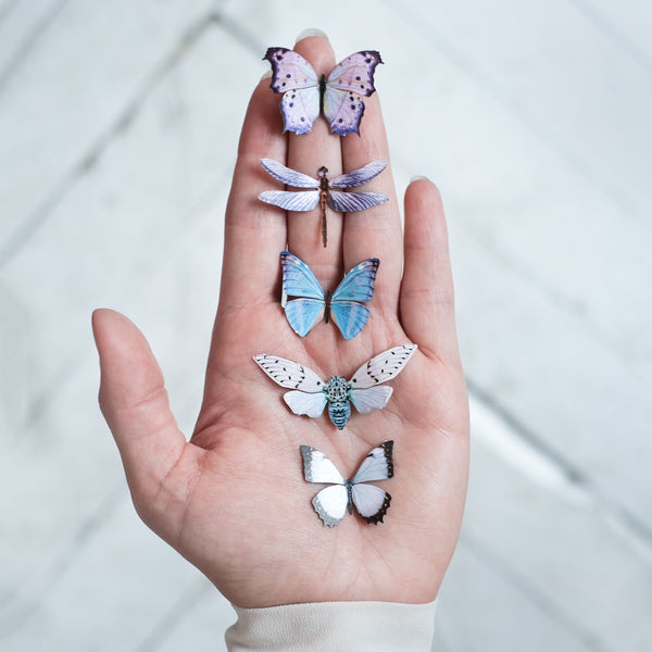 'Mini Zephyritis Morpho' Butterfly - Moth & Myth