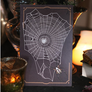 Halloween 'Weaver' Spiderweb & Spider Set Reseller Wholesale