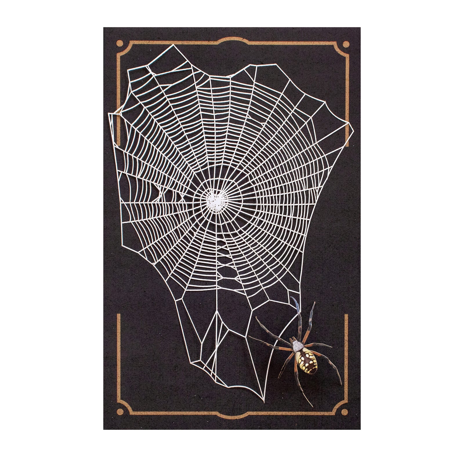 Halloween 'Weaver' Spiderweb & Spider Set Reseller Wholesale